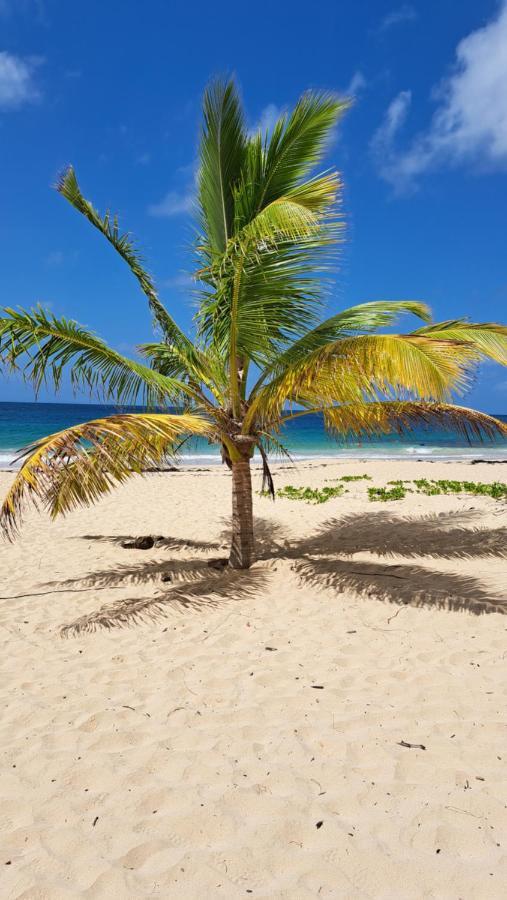 Studio Plage De L'Anse Caritan Sainte-Anne Bagian luar foto