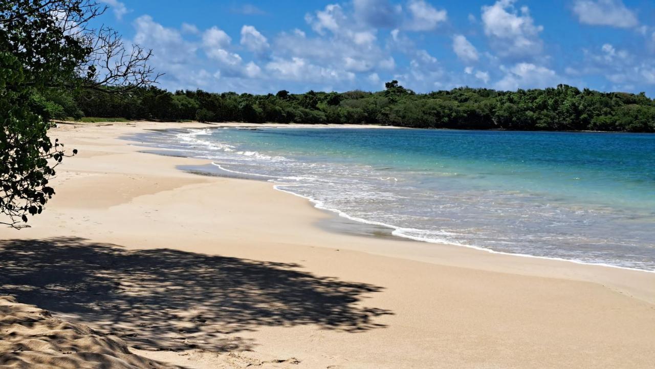 Studio Plage De L'Anse Caritan Sainte-Anne Bagian luar foto